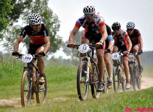 Poland Bike Maraton, Poland Bikejoring, Łuków #PolandBikeMaraton #PolandBikejoring #Łuków