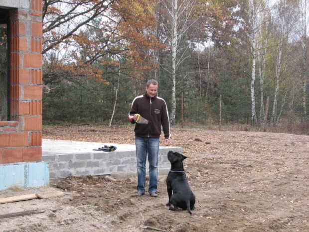 2007-jesień - mój Inwestor z naszym psem
