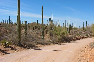 zwiedzanie USA, podróże po USA, praca w usa, work and travel, USA #WorkAndTravel #WorkTravelWork #travel #PracaWUsa