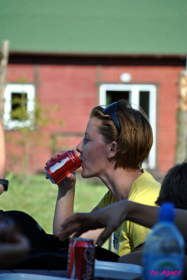 Sport zaprzęgowy w wydaniu bez śniegu -dryland #ZieloneBielkówko #amberdog