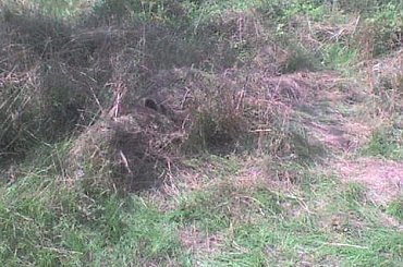 Pierwsza pozycja snajperska jaką zrobiliśmy #GhillieSuit #ghillie #suit #snajper #strzelec #sniper #DeathFromShadow