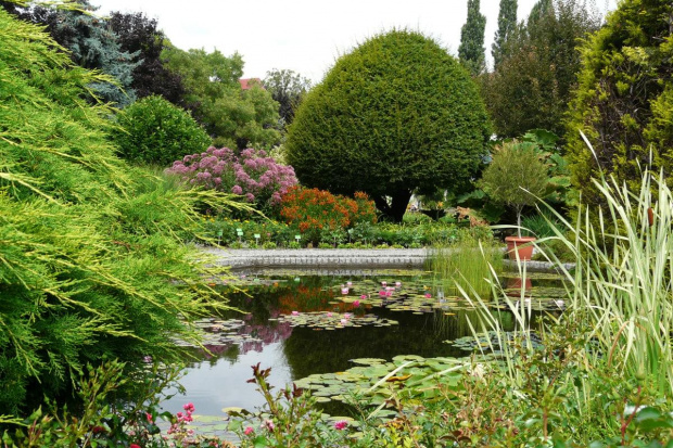 Ogród Botaniczny - Wrocław