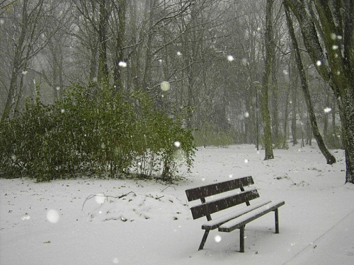 zaśnieżona ławeczka #śnieg #zima