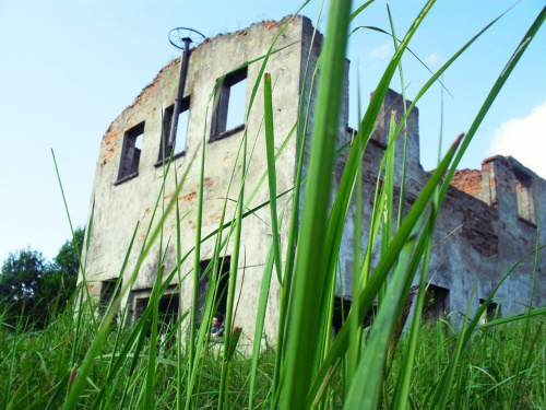 Ruiny cegielni w Jakubkowie #ruiny #cegielnia #jakubkowo #festeriusz