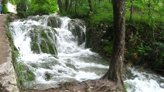 Chorwacja - Jeziora Plitwickie