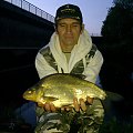 bream