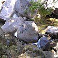 Park Yosemite