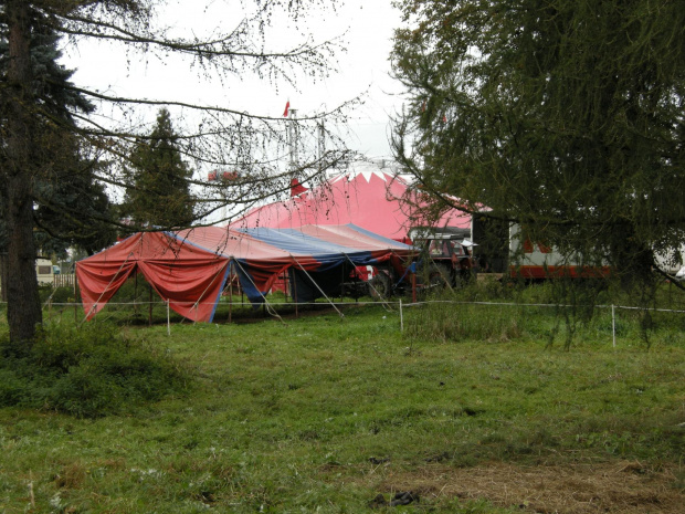 Cyrk Safari-2010. Zapraszamy na www.portalcyrkowy.ubf.pl #cyrk #safari #sezon #clown #rzeszów #występycyrkowe #kmc #portal #cyrkowy #portalcyrkowy #cyrksafari #arena