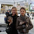 Stowarzyszenie Przyjaciół Fretek na Międzynarodowym Dniu Zwierząt na wrocławskim Rynku - 3 X 2010 #SPF #FAA #fretka #adopcje
