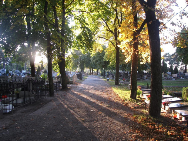 #Toruń #cmentarz #jesień #Koniuchy