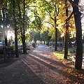 #Toruń #cmentarz #jesień #Koniuchy