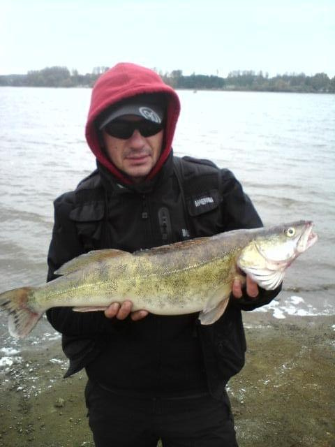 sandaczyk 3,7kg