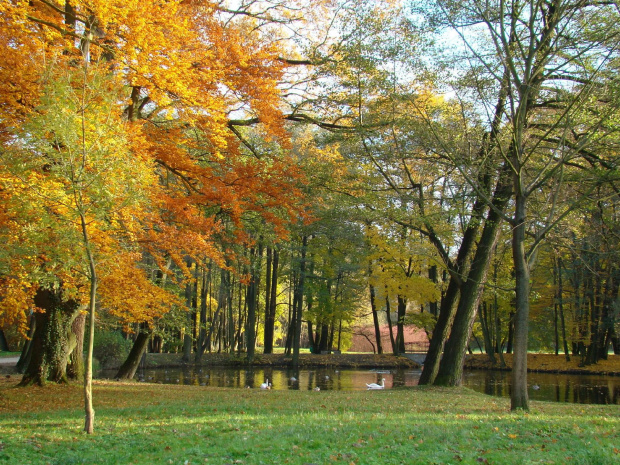 Jesień w parku w Strzelcach Opolskich #jesień #park #StrzelceOpolskie