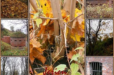 Spacerkiem po Fortach Napoleońskich, czyli jesienne impresje #jesień #Gdańsk #zabytki #miejsca #FortyNapoleońskie