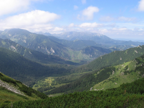 Dolina Zadnich koperszadów, Jagnięca, Bździochowa i Kapałkowa Gran, za nimi Woloszyn, Granaty i Kozi Wierch #Góry #Tatry