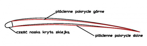 Profil Albatrosa