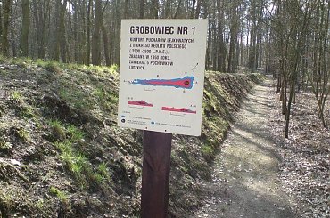 #grobowce #PucharyLejkowate #Sarnowo