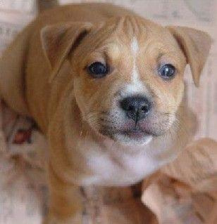 Miodzio ;p