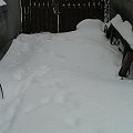 Po intensywnych opadach śniegu w nocy z 01/02.12.2010.
Wysokość pokrywy śnieżnej - 25-30cm, w zaspach jeszcze więcej.