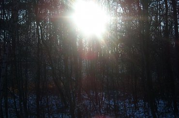 #DRZEWA #LAS #SŁOŃCE #ŚNIEG #ZABAWAŚWIATŁEM #ZIMA