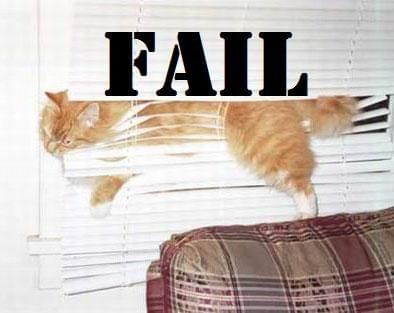 Cats cat fail o rly
