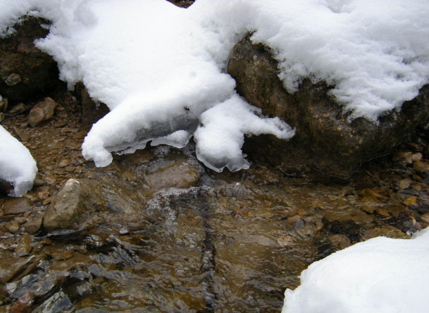 #Pieniny