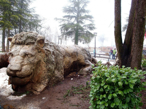 Ifrane - Marokańska Szwajcaria. Przepiękna rzeźba lwa. Ale miasto nader ciekawe, marokańczycy przyjeżdżają tu na narty. #Maroko #Infrane