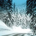 #tapeta #zima #śnieg #ulica #droga #góry #trasa #las #przyroda #drzewa #choinki