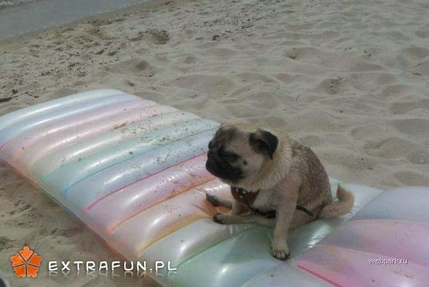 www.extrafun.pl #extrafun