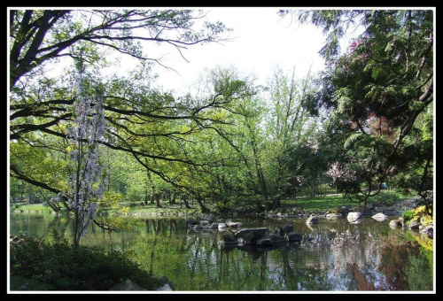 sakura - Ogród Japoński we Wrocławiu