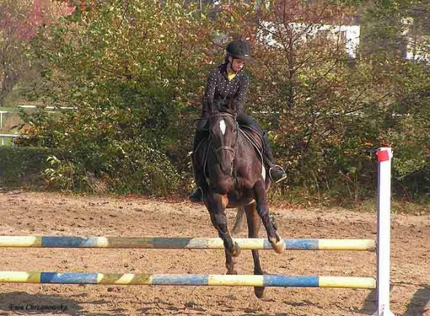 2008.10.26 Konie w Stodołach