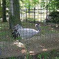 CHORZOWSKIE ZOO
WYPRAWA NR 2 :]