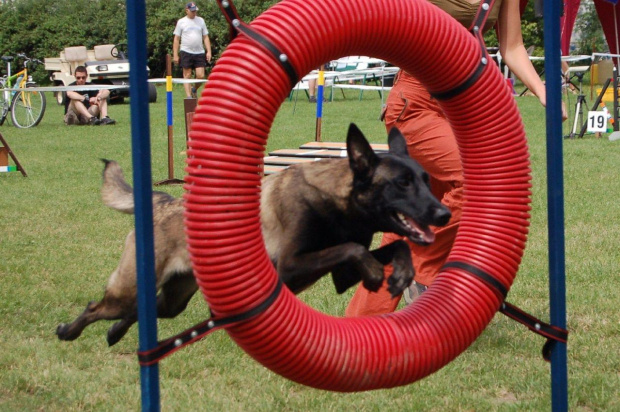 PP Agility Białystok 22.07.2007