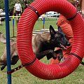 PP Agility Białystok 22.07.2007