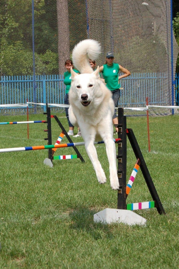 PP Agility Białystok 22.07.2007