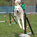 PP Agility Białystok 22.07.2007