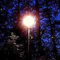 Lampa przy drodze ;) #spacer #lampa #pub #FotkaZKomórki