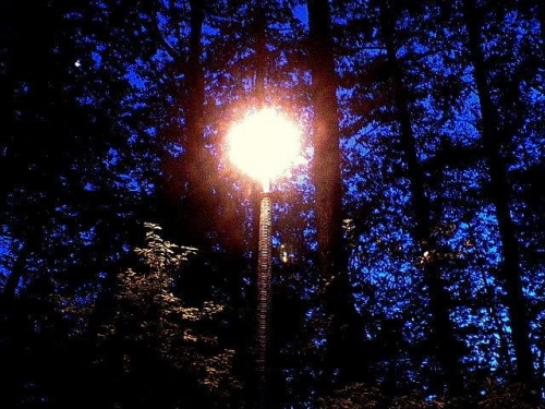 Lampa przy drodze ;) #spacer #lampa #pub #FotkaZKomórki