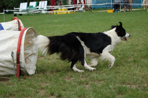 PP Agility Białystok 22.07.2007