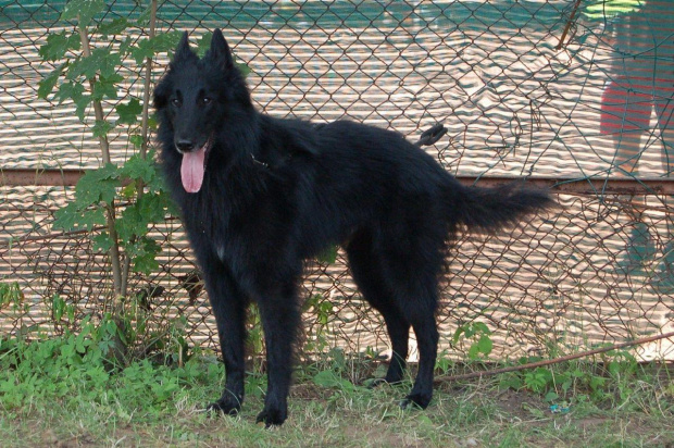 PP Agility Białystok 22.07.2007