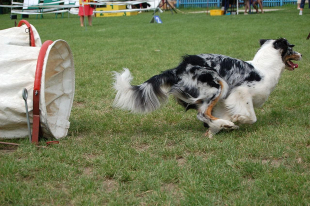 PP Agility Białystok 22.07.2007