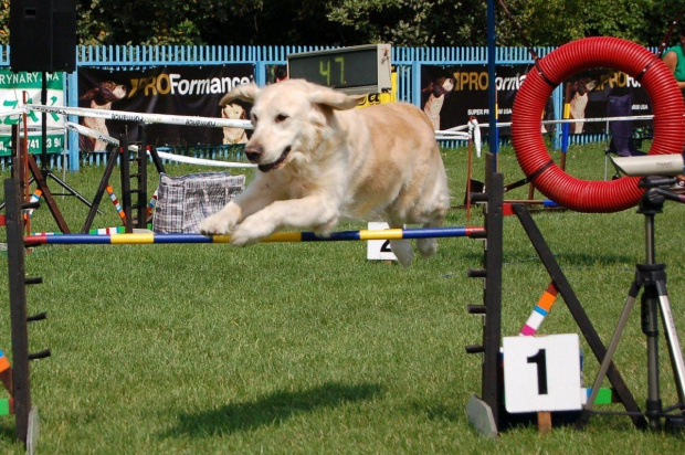 PP Agility Białystok 22.07.2007