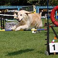 PP Agility Białystok 22.07.2007