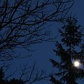 z ogrodu #noc #księżyc #las #krajobraz #wieś
