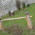 bramka ze starej futryny planuje zawiesić na niej kwiaty
