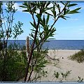 Sobieszewo-z wydm w stronę morza #widoki