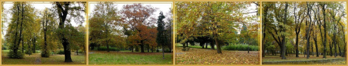 Jesień w Parku Miejskim piękna jak wszędzie! #WParku #jesień #Gdańsk #drzewa