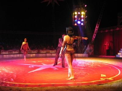 www.cyrkowo.com #CyrkKorona
