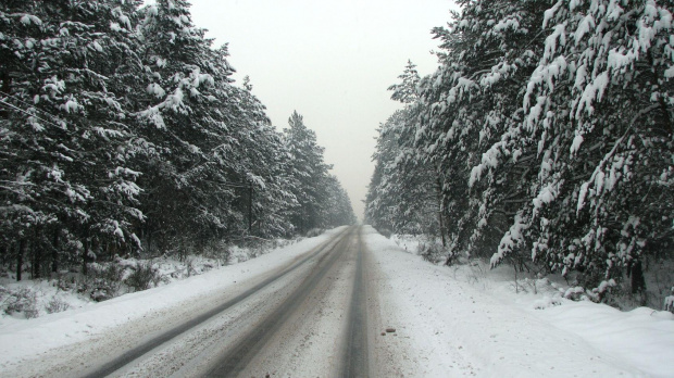 zima... drogowcy jak zawsze zaskoczeni #zima #snieg #drzewa #widok #plener