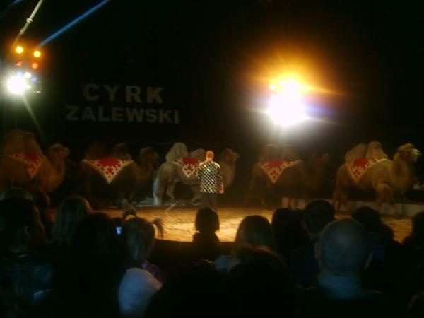 Cyrk Zalewski Inowrocław 2009 Zakaz kopiowania zapraszamy na www.cyrk-fan.com #cyrk